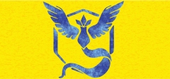 Pokemon-5