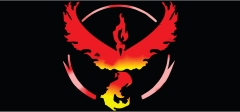 Pokemon-6