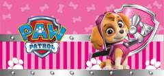 Paw-Patrol-20