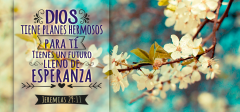 Motivacion-35