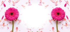 Floral-2