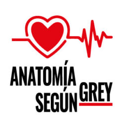 Anatomia Según Grey