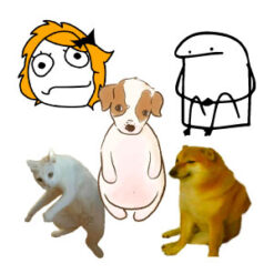 Memes