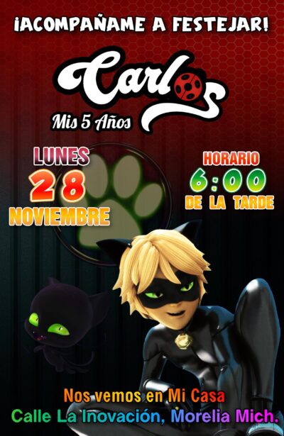 Miraculous, Cat Noir Ladybug Invitación de Cumpleaños Digital Personalizada - Imagen 6