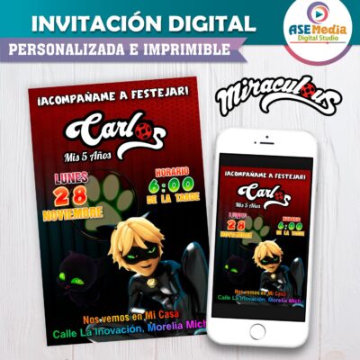 Miraculous, Cat Noir Ladybug Invitación de Cumpleaños Digital Personalizada