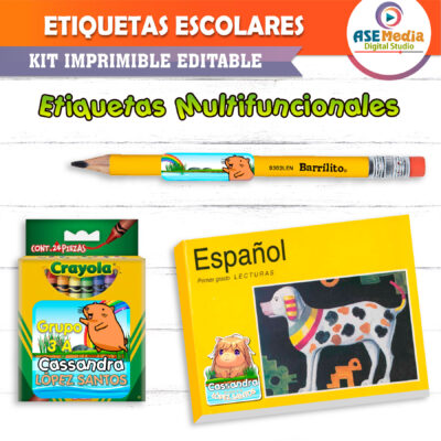 Lilo y Stitch Etiquetas Escolares Editables